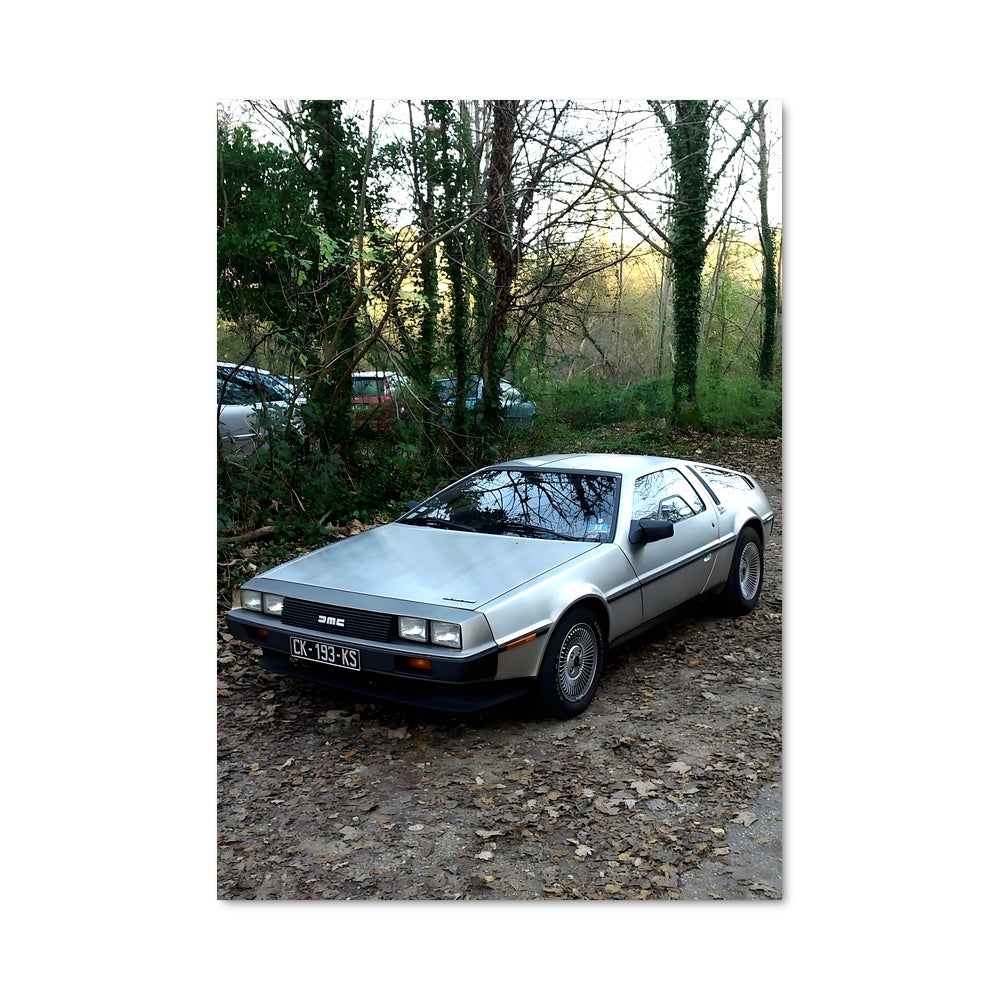 Poster Delorean 76844