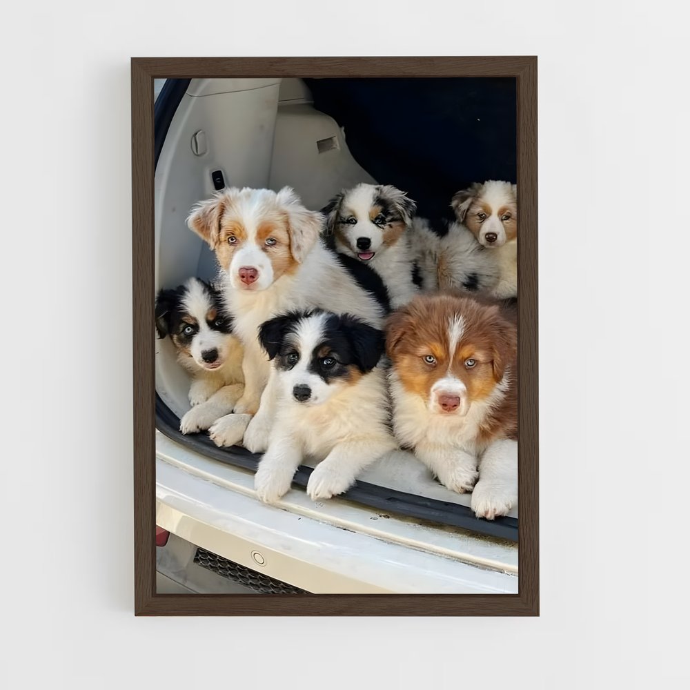 ap-dogs-2 cadre Bois foncé