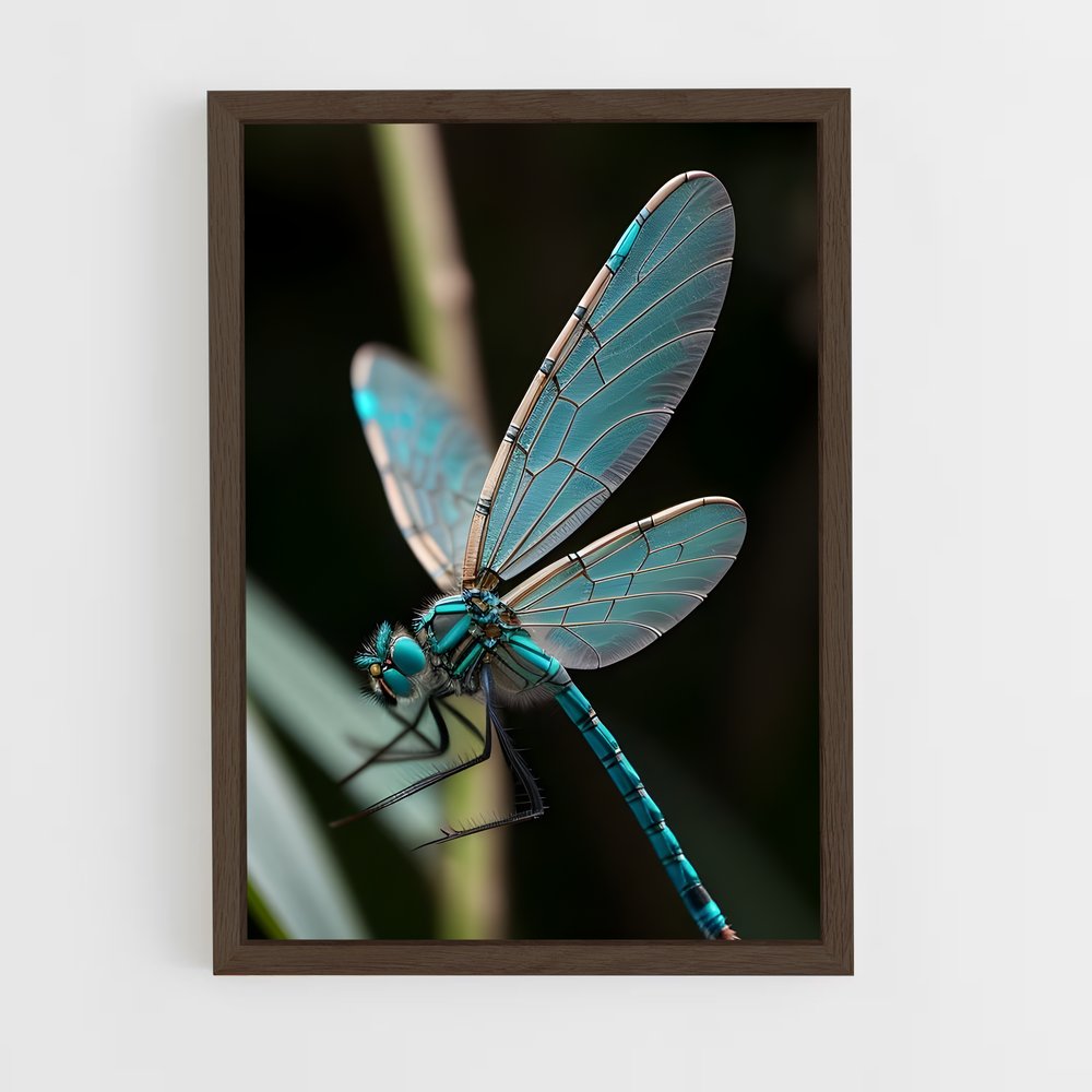 ap-dragonfly-10 cadre Bois foncé