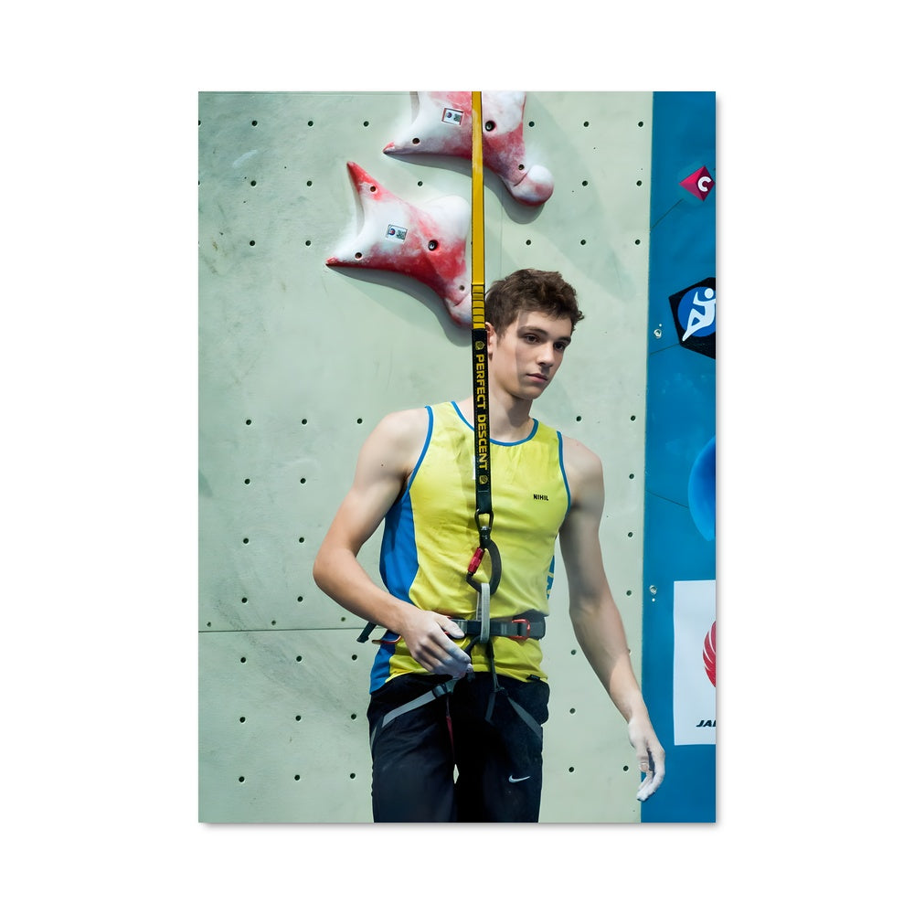 Poster Verticale d'Ambition