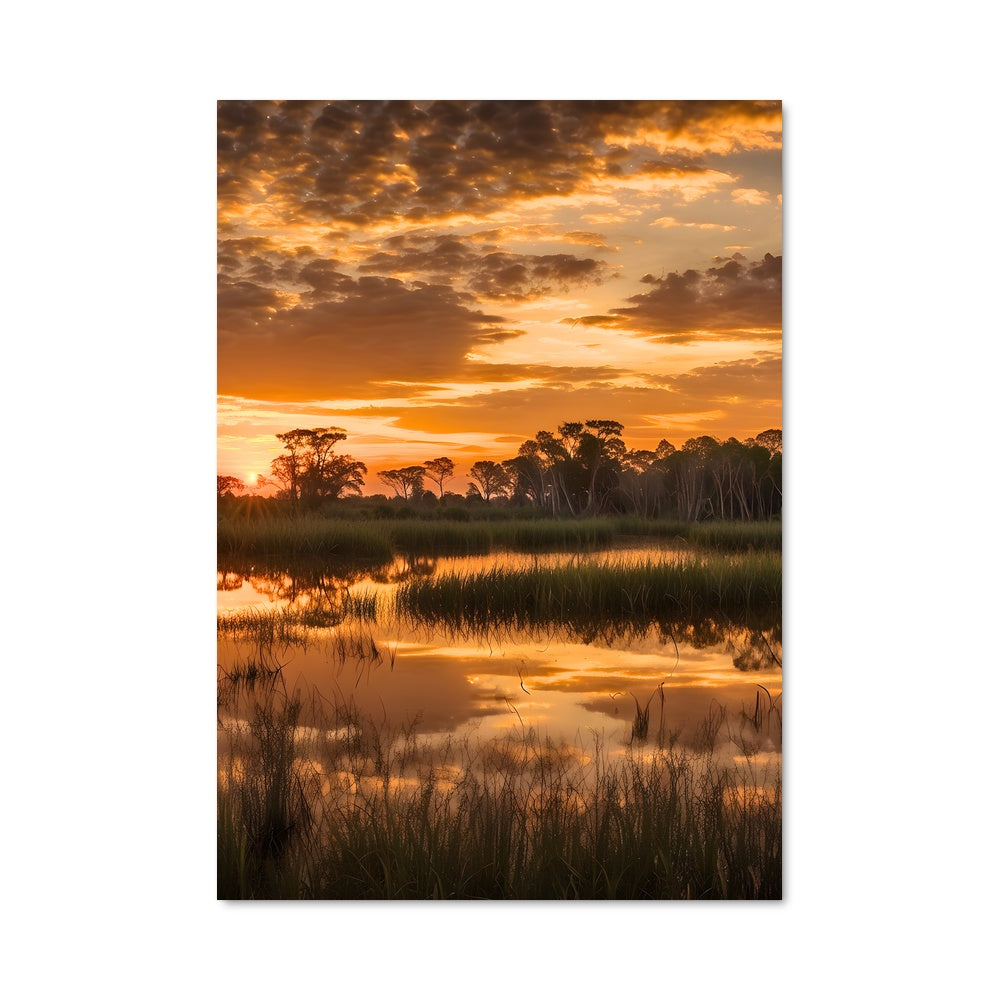 Poster Crépuscule des Everglades