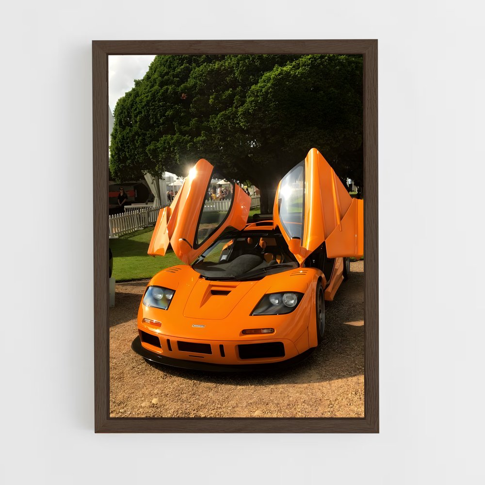 ap-f1 lm-1 cadre Bois foncé
