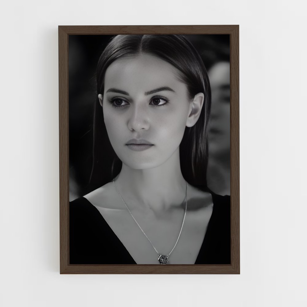 ap-fahriye evcen-6 cadre Bois foncé