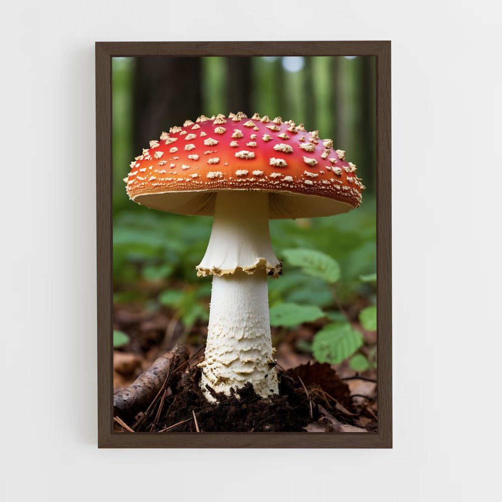 ap-fly agaric-1 cadre Bois foncé