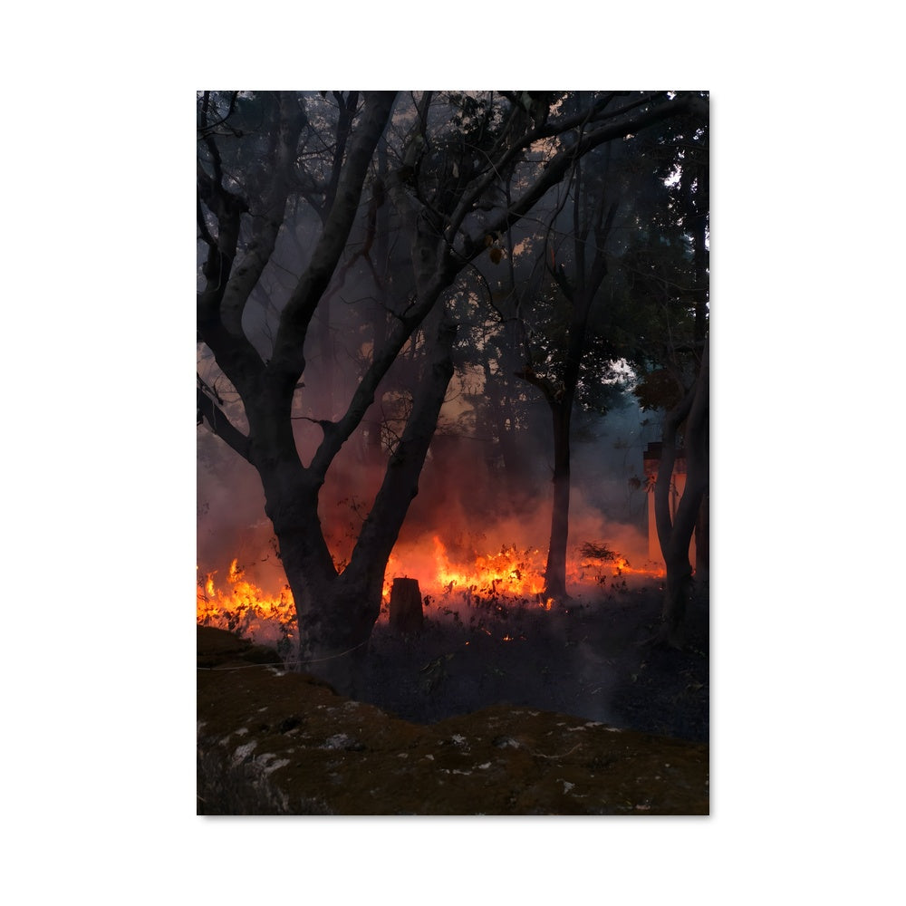 Poster Flammes Sauvages