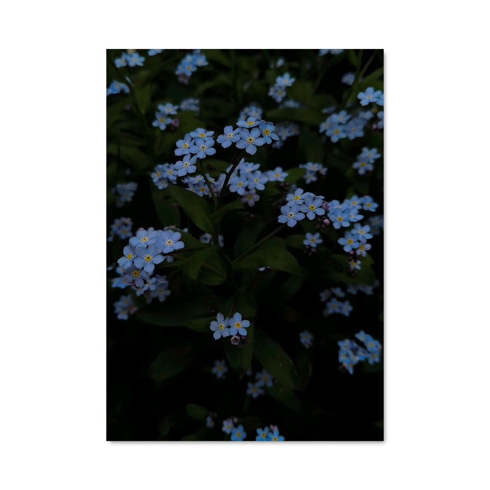 Poster Souvenirs Évanescents