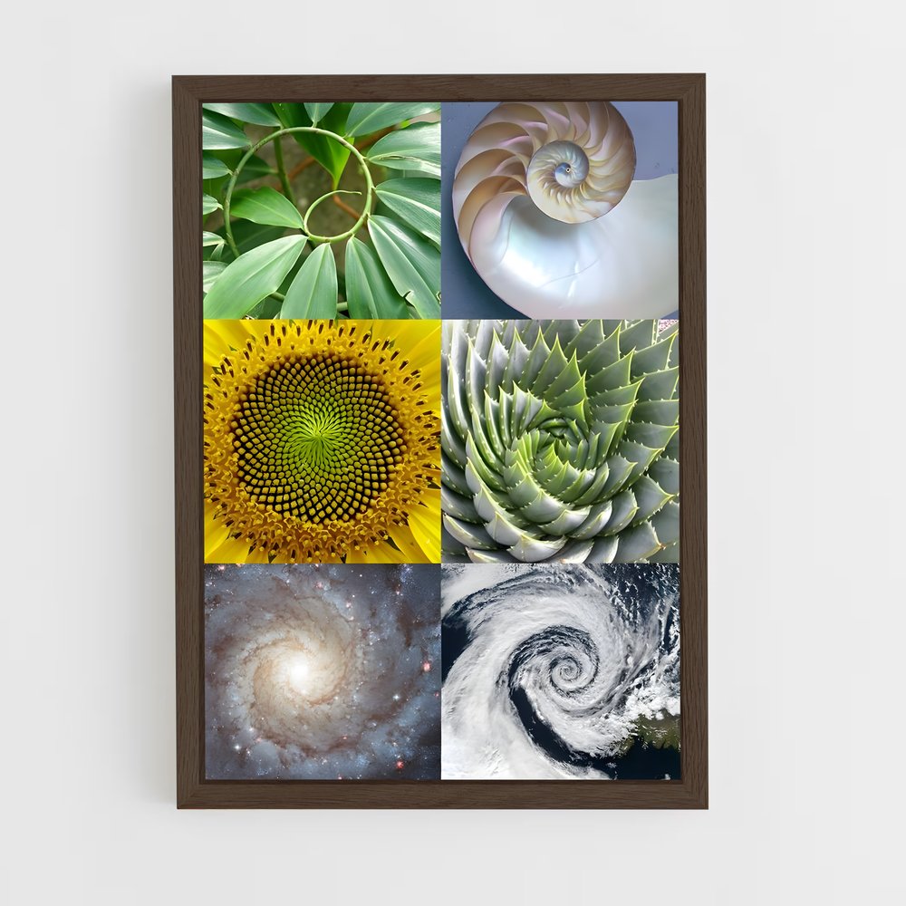 ap-fractals-1 cadre Bois foncé
