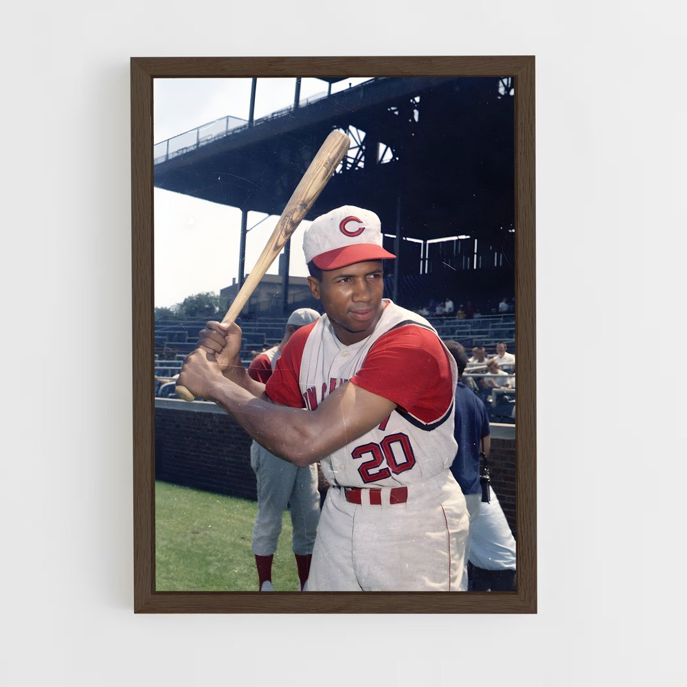 ap-frank robinson-2 cadre Bois foncé