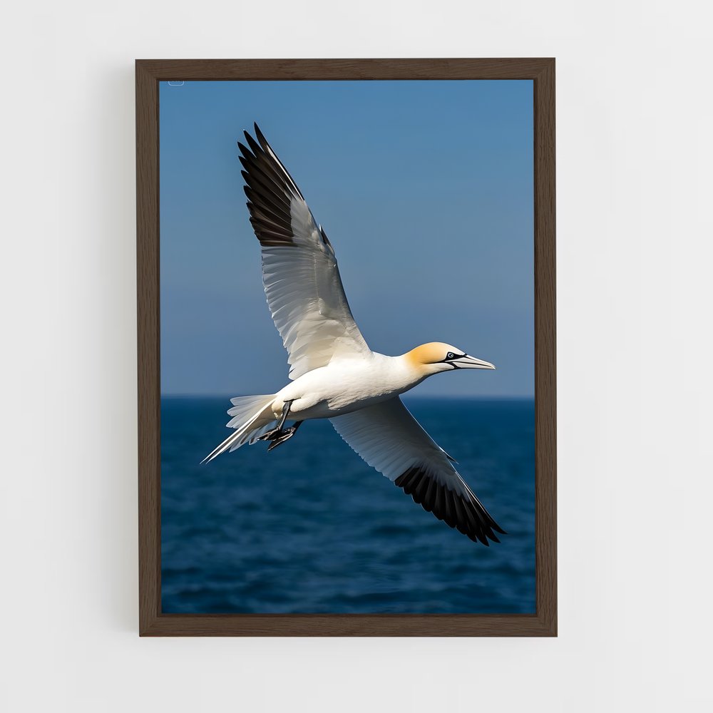 ap-gannet-4 cadre Bois foncé