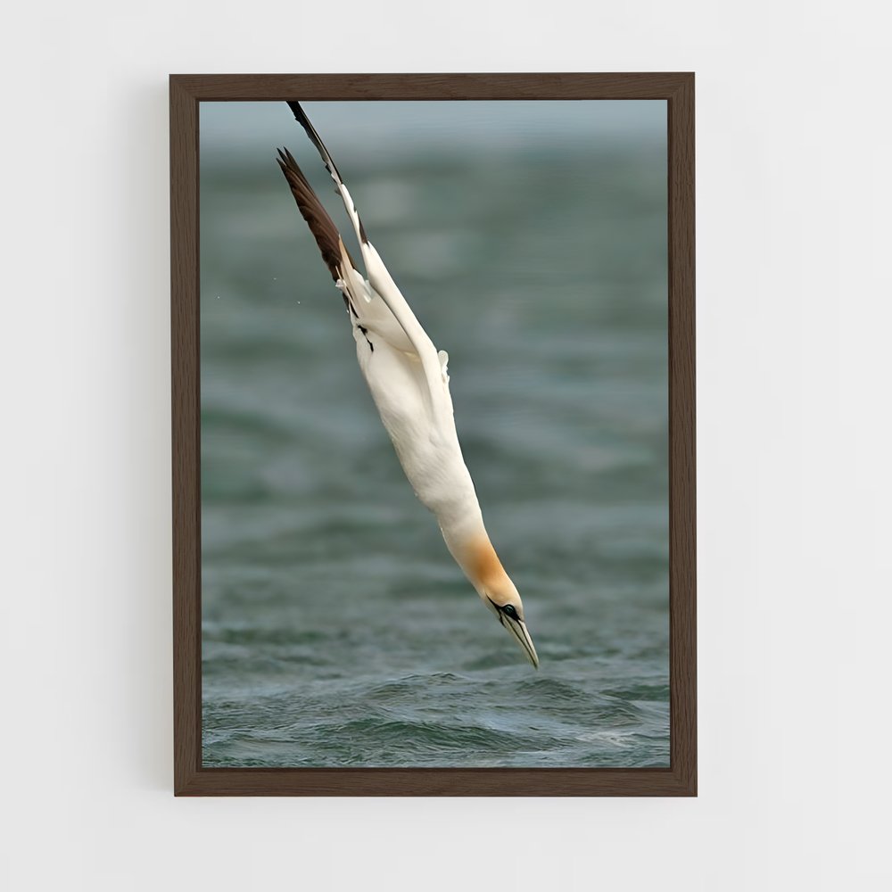 ap-gannet-8 cadre Bois foncé