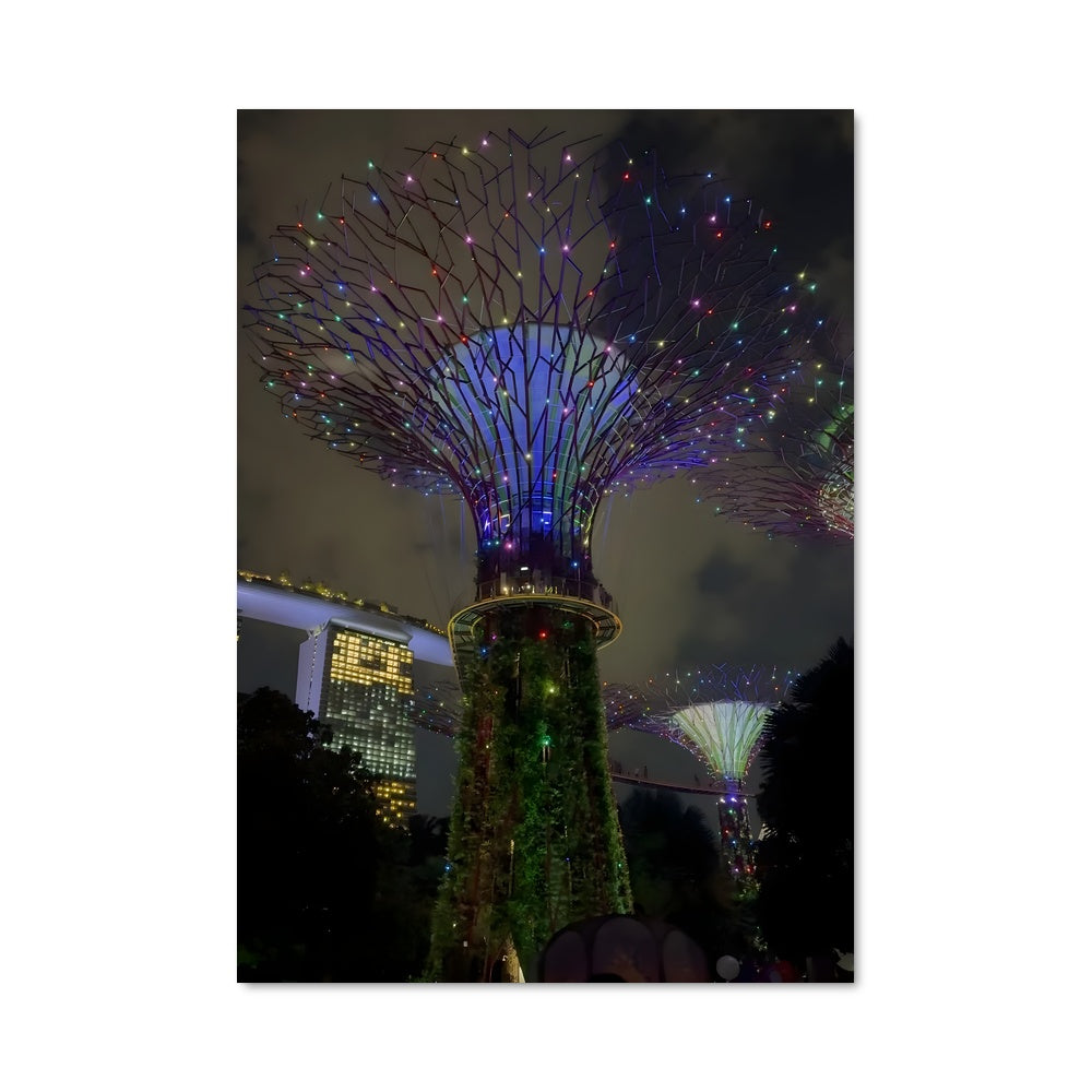 Poster Lumières de Supertree