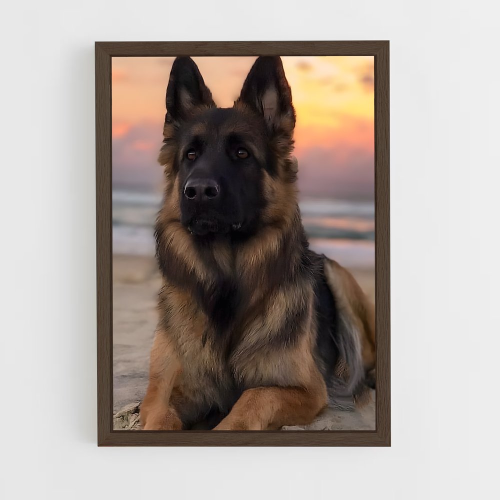 ap-german shepherd-2 cadre Bois foncé
