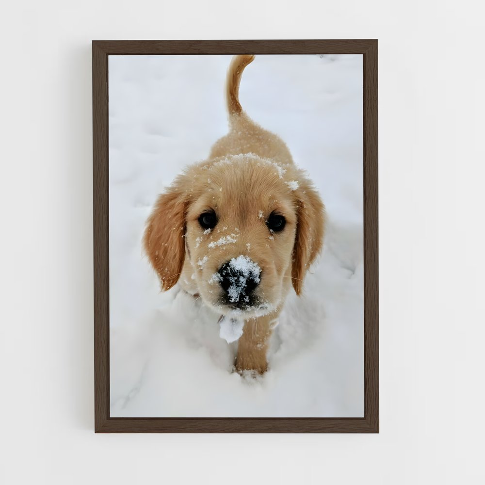ap-golden retriever-5 cadre Bois foncé