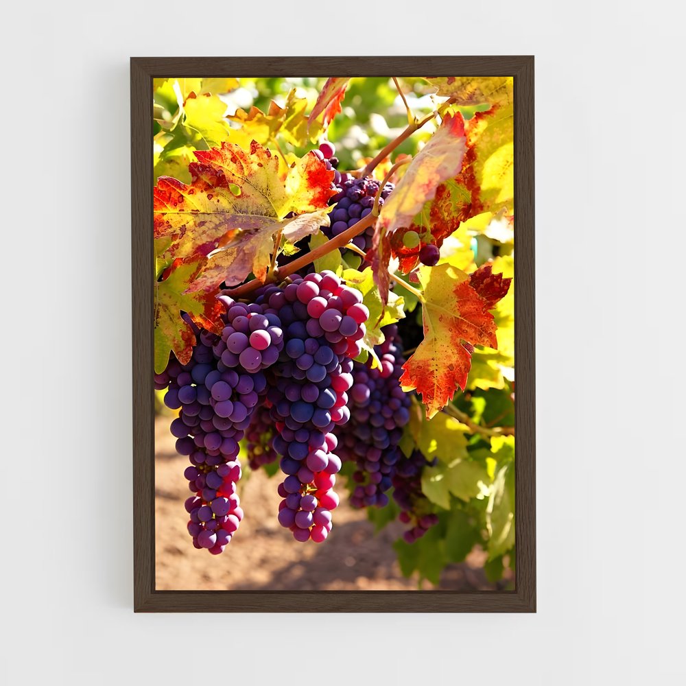 ap-grape vine-7 cadre Bois foncé