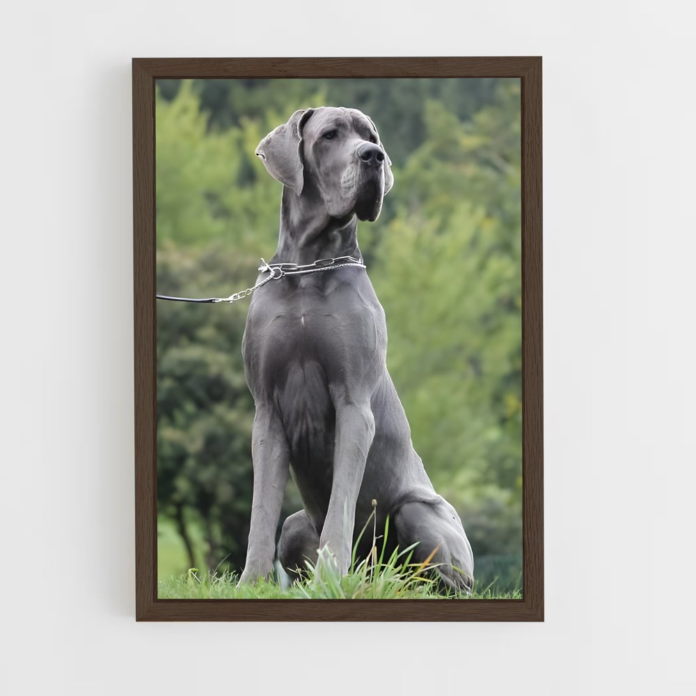ap-great dane-1 cadre Bois foncé