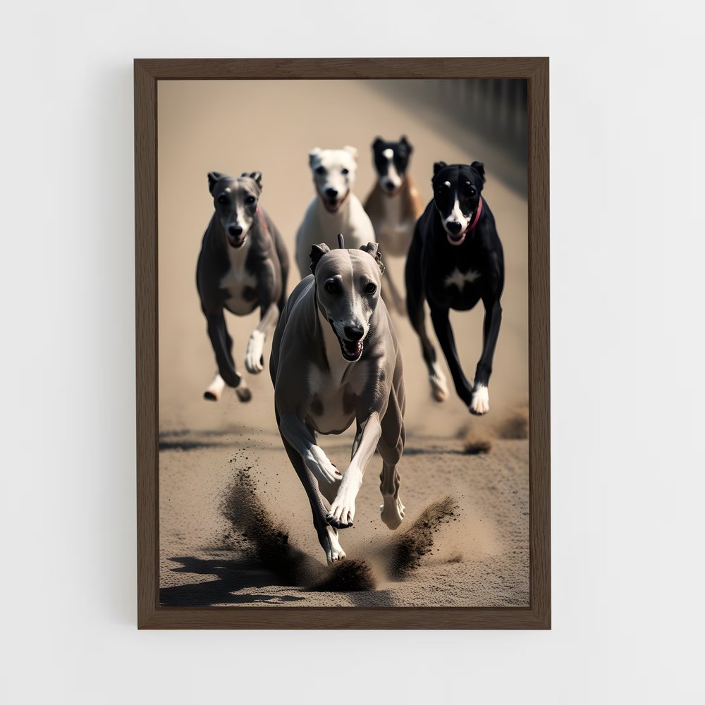 ap-greyhound racing-5 cadre Bois foncé