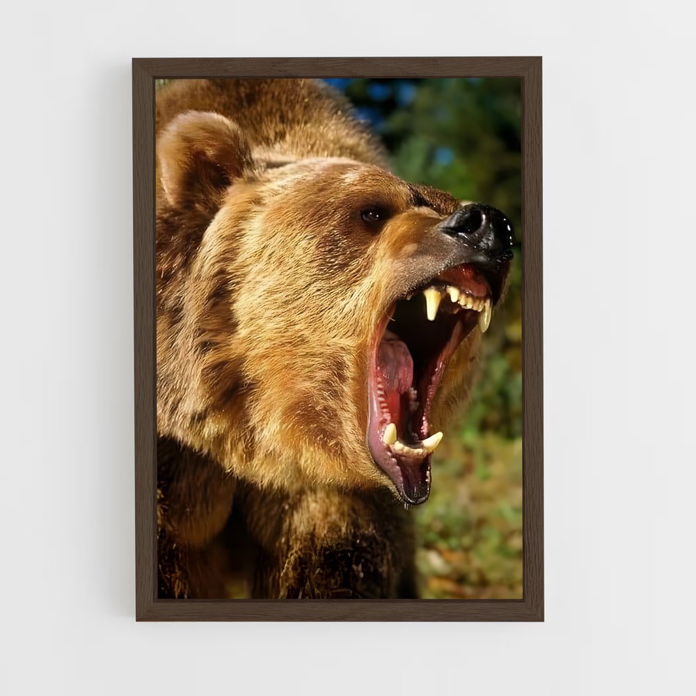 ap-grizzly bear-8 cadre Bois foncé