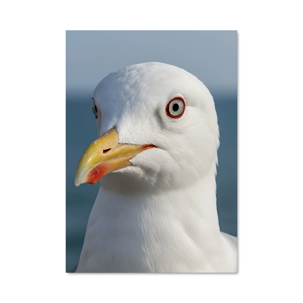 Poster L'Œil du Goéland