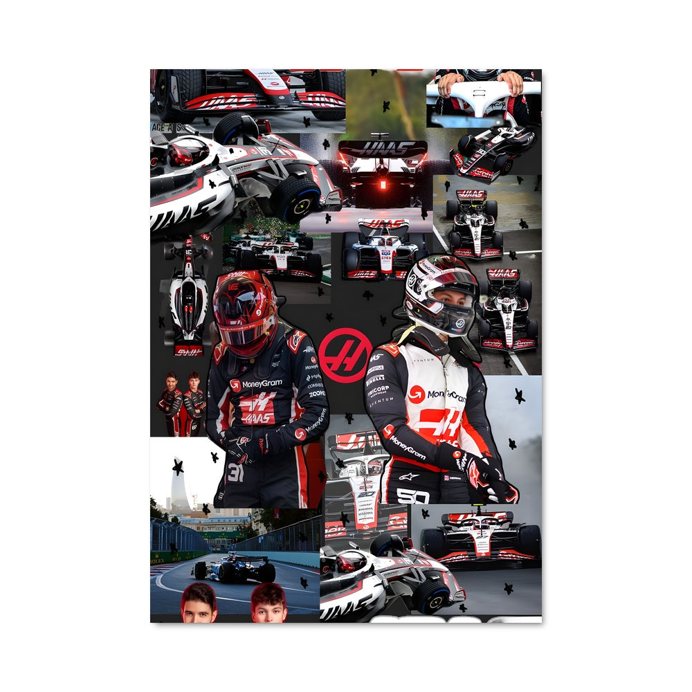 Poster Haas f1 team 63308