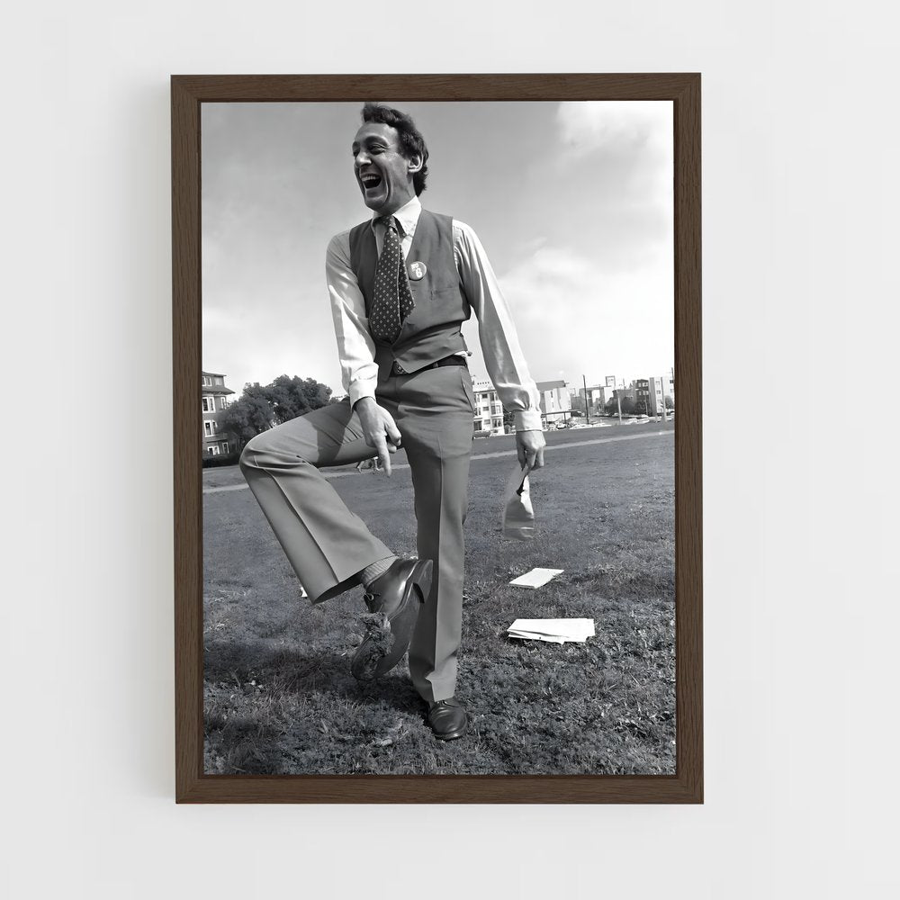 ap-harvey milk-1 cadre Bois foncé
