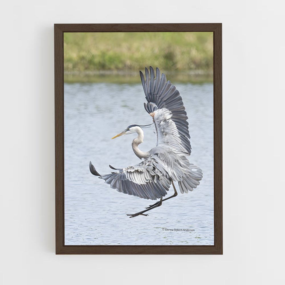 ap-heron-4 cadre Bois foncé