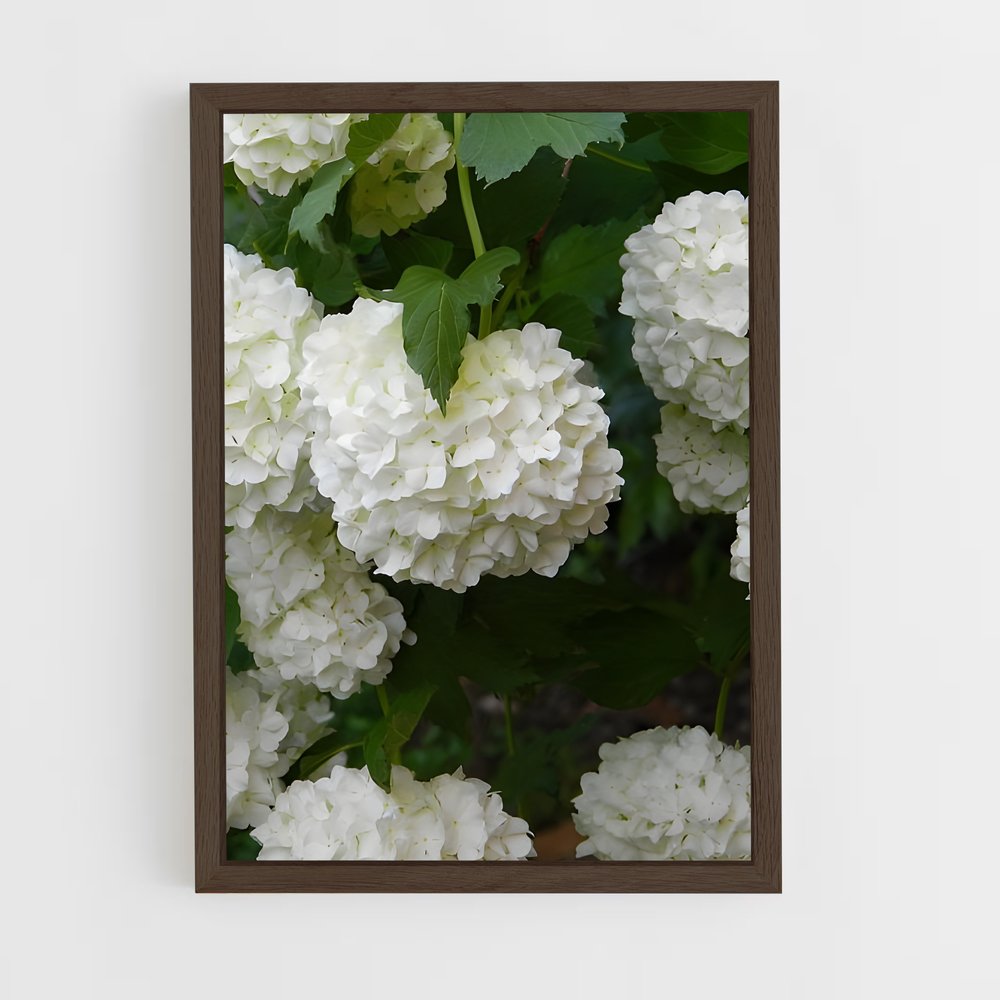 ap-hydrangea-11 cadre Bois foncé