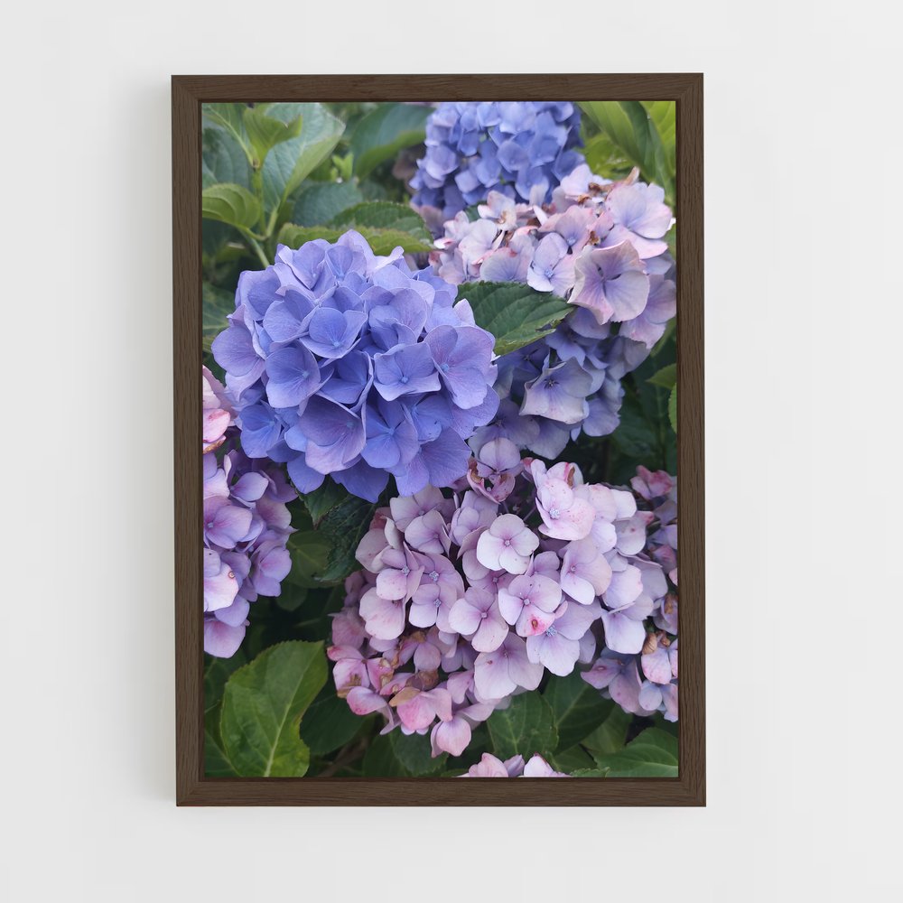 ap-hydrangea-2 cadre Bois foncé