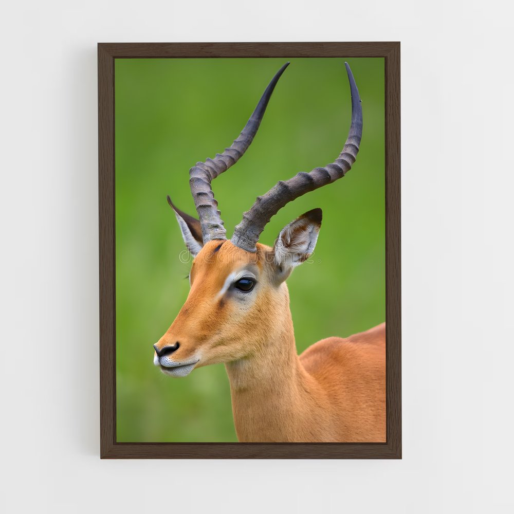 ap-impala-6 cadre Bois foncé