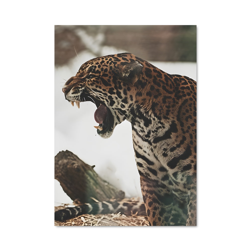 Poster Jaguar 83806