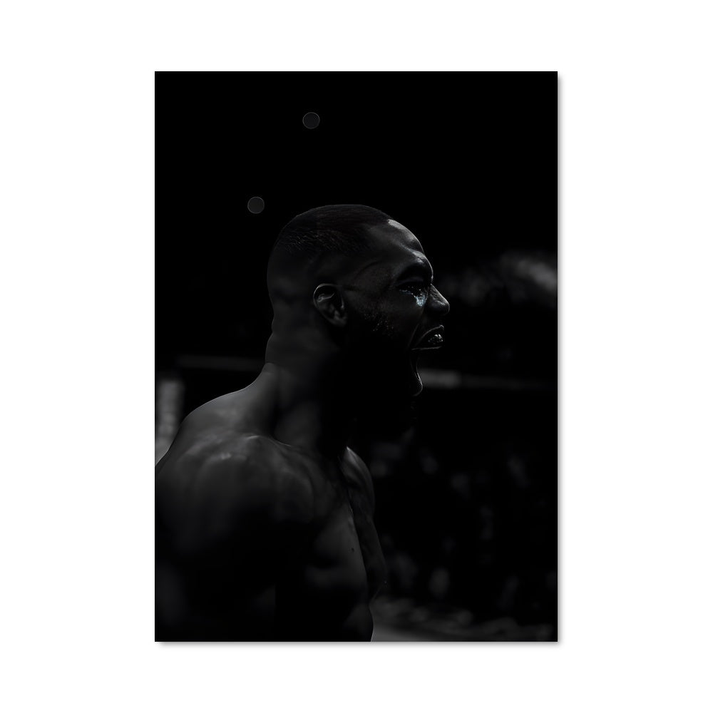 Poster Jon jones 62282