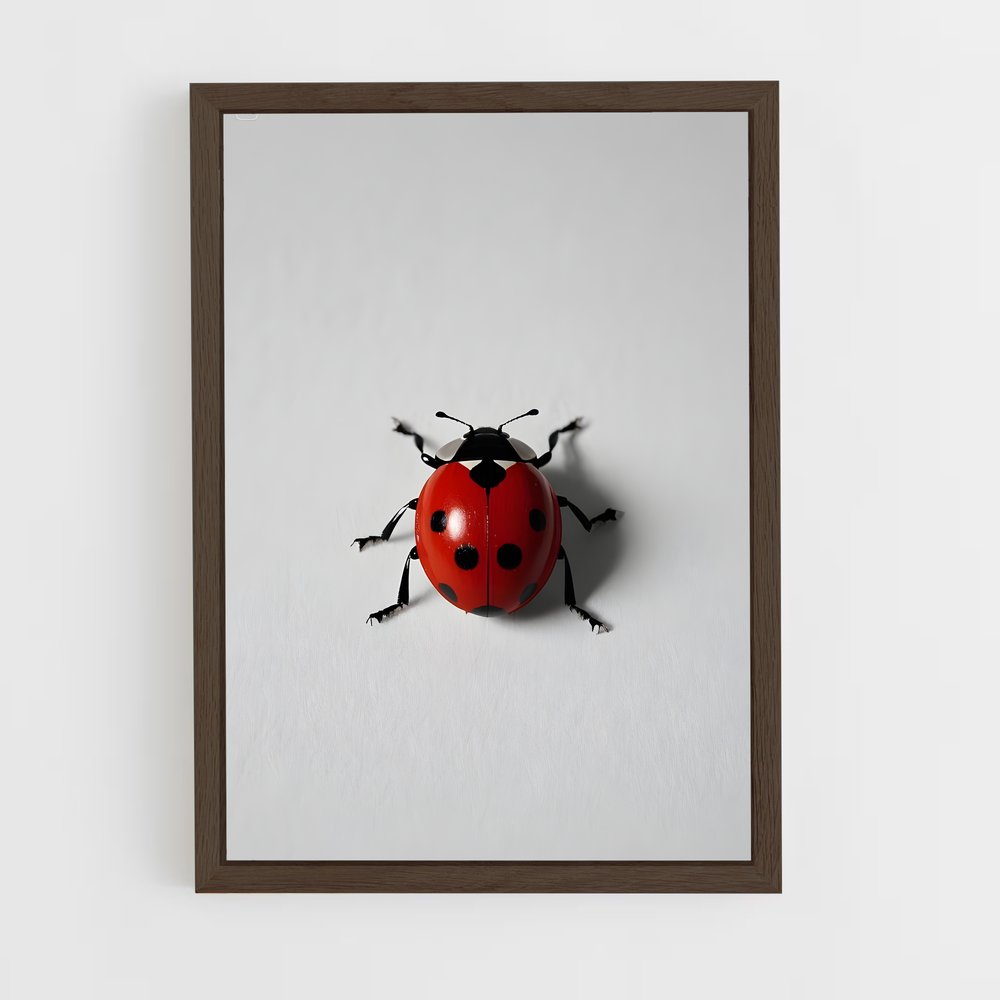 ap-ladybug-13 cadre Bois foncé