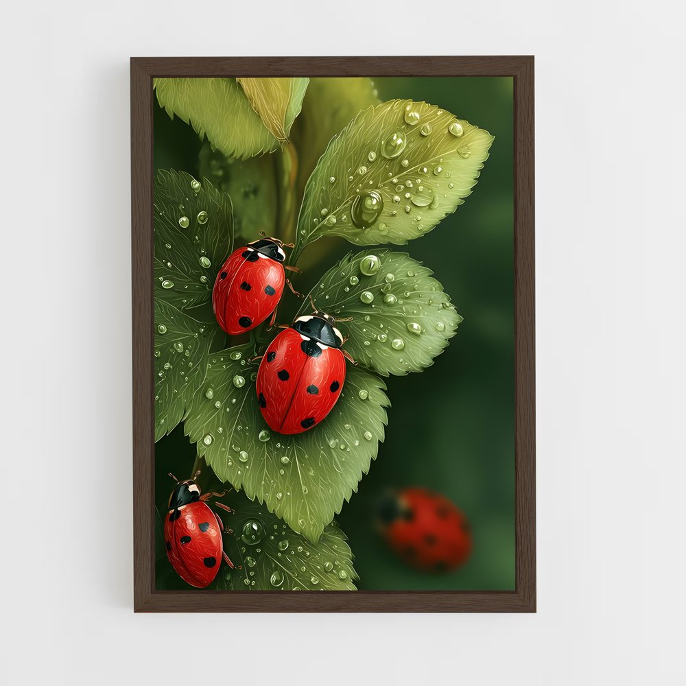 ap-ladybug-2 cadre Bois foncé
