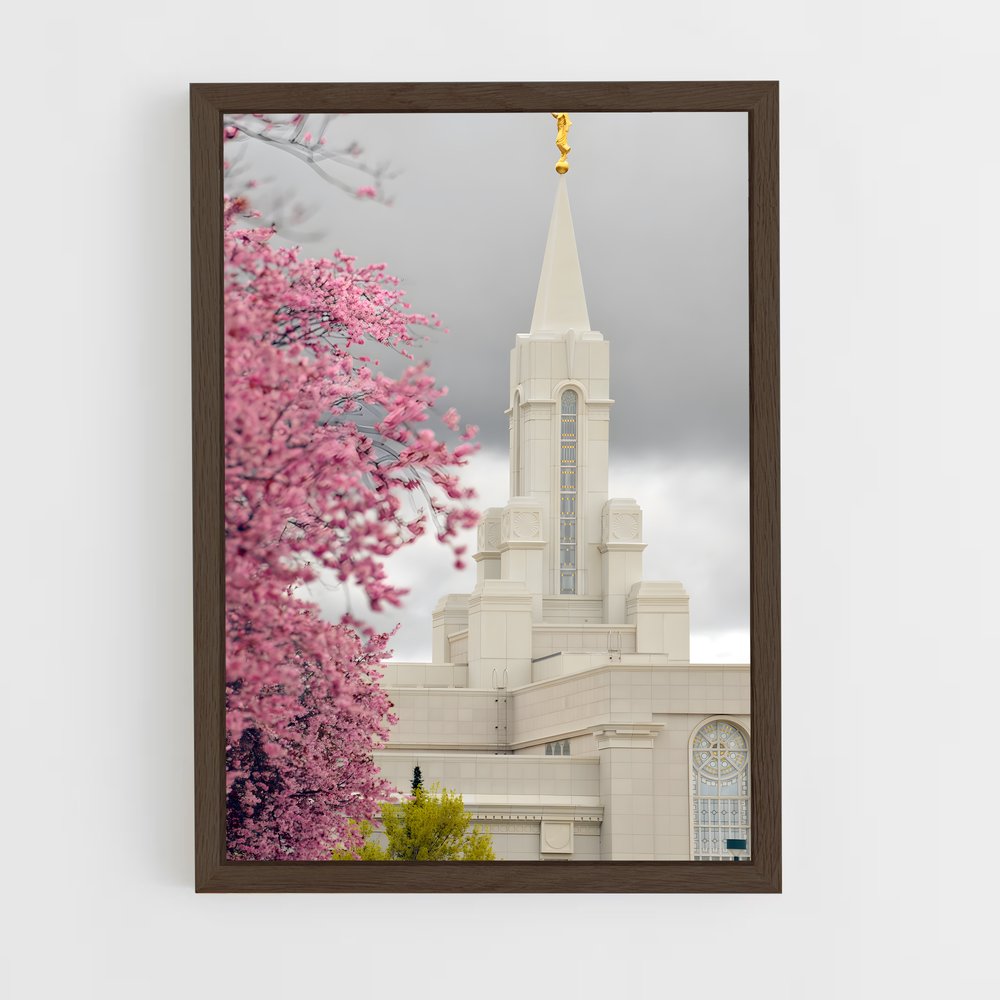ap-lds temple-5 cadre Bois foncé