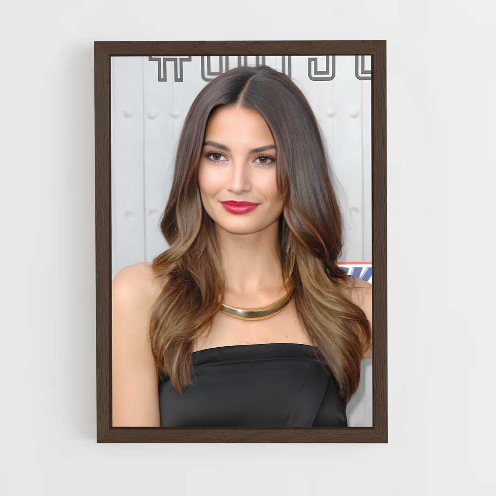 ap-lily aldridge-7 cadre Bois foncé