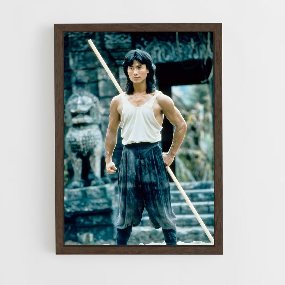 ap-liu kang-6 cadre Bois foncé
