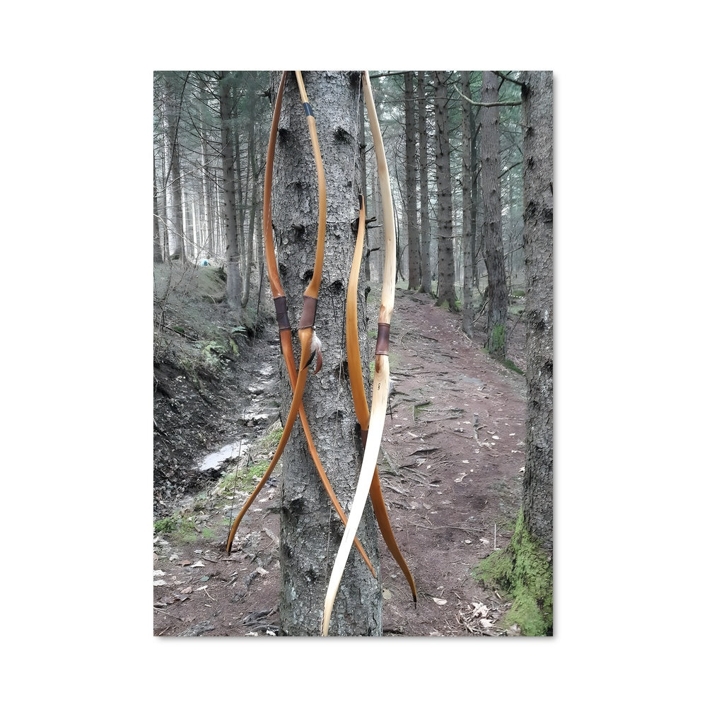 Poster Arbre de Flèches