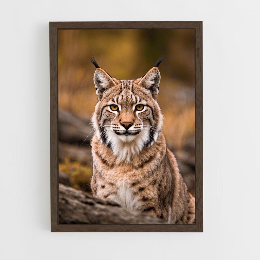 ap-lynx-2 cadre Bois foncé