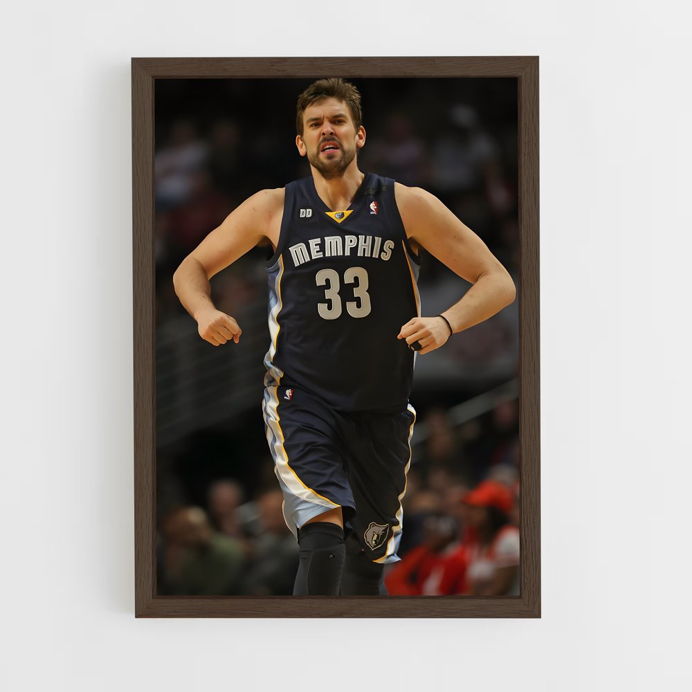 ap-marc gasol-1 cadre Bois foncé