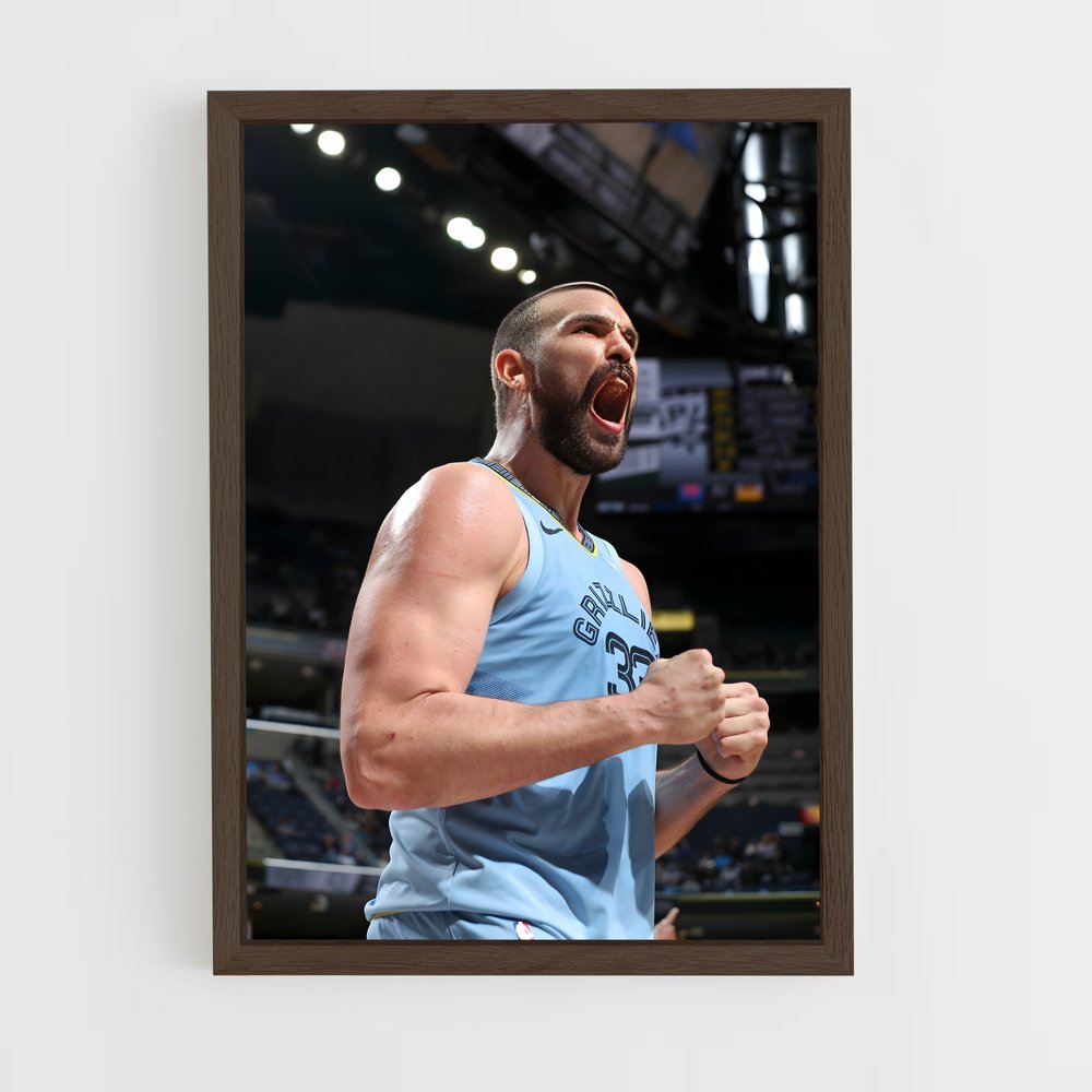 ap-marc gasol-8 cadre Bois foncé