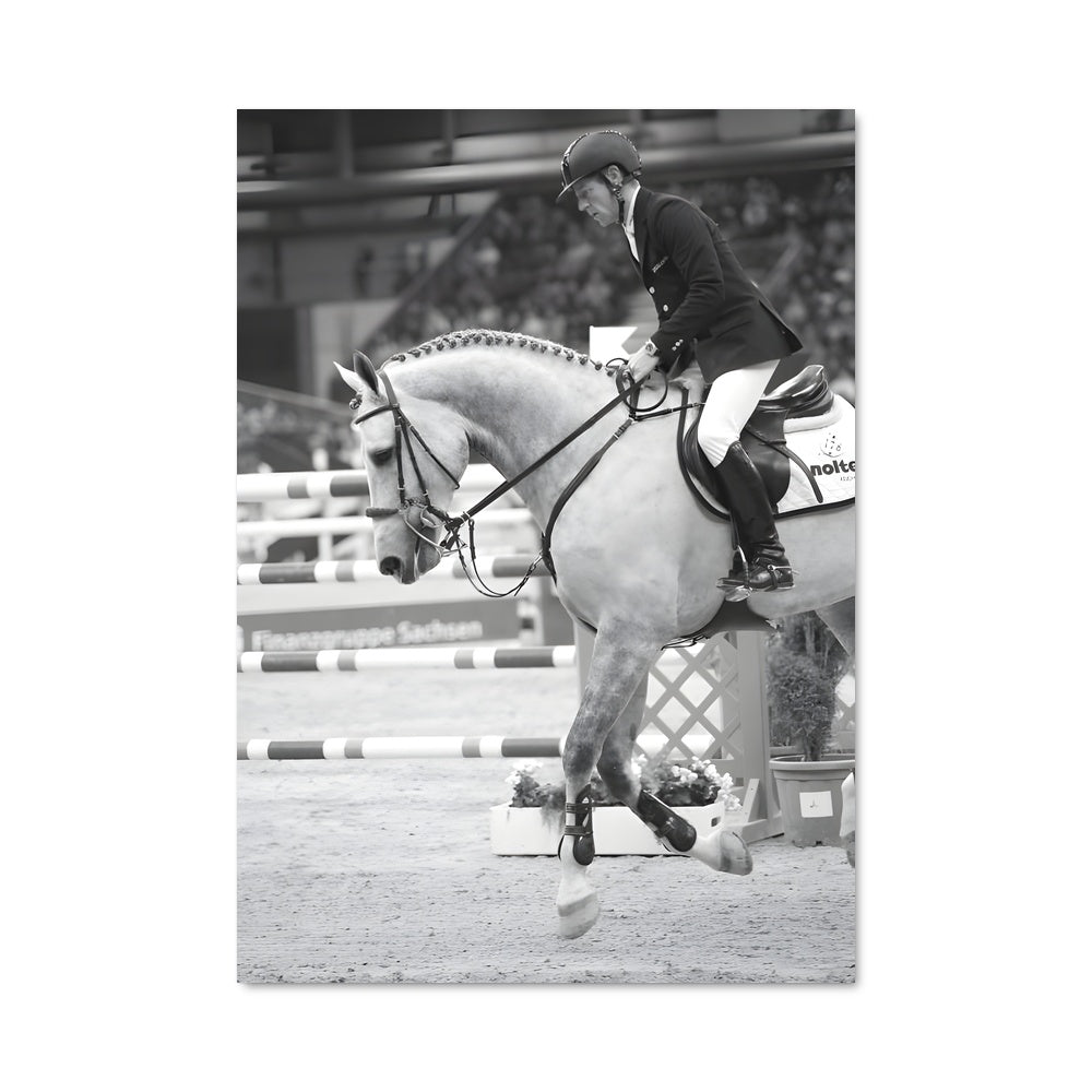 Poster Marcus ehning 67376