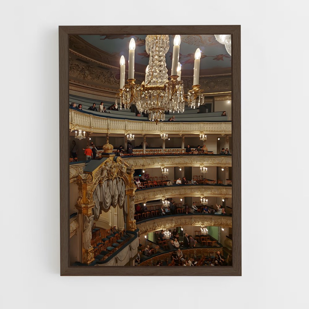 ap-mariinsky theatre st petersburg-1 cadre Bois foncé