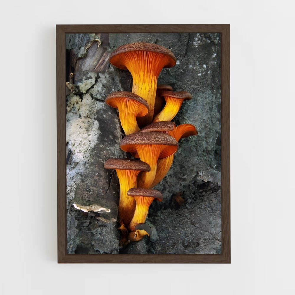 ap-meadow mushroom-1 cadre Bois foncé