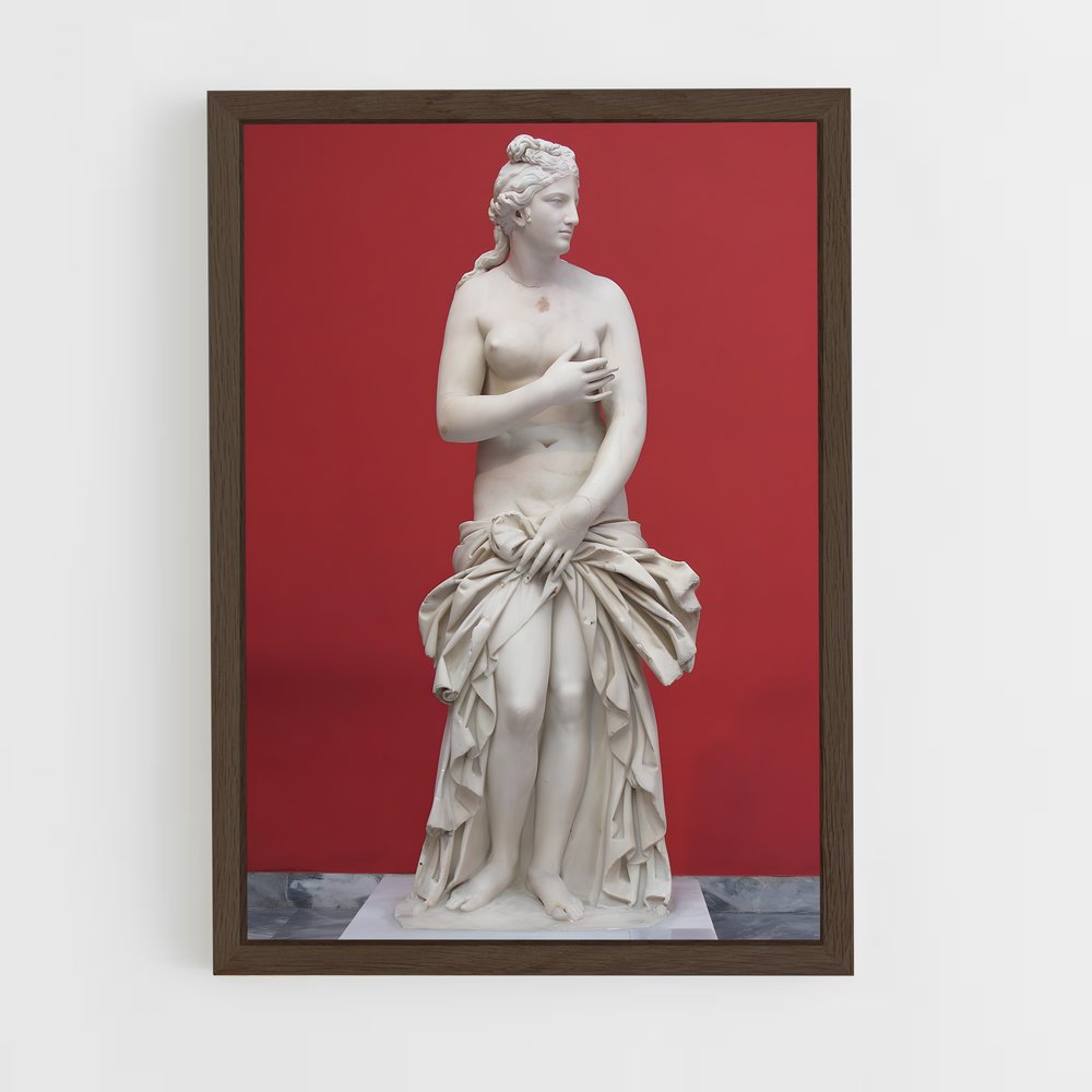 ap-medici venus-2 cadre Bois foncé