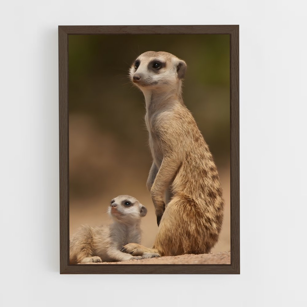 ap-meerkat-2 cadre Bois foncé