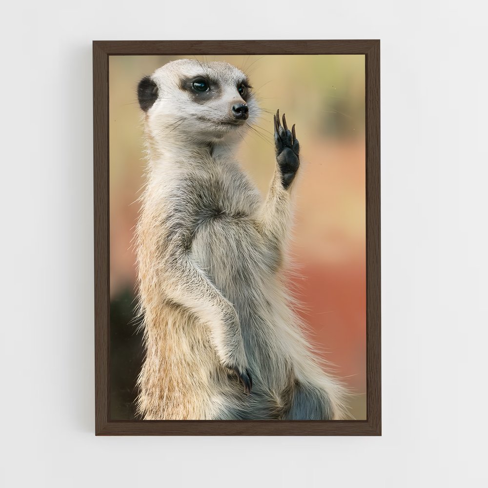 ap-meerkat-7 cadre Bois foncé