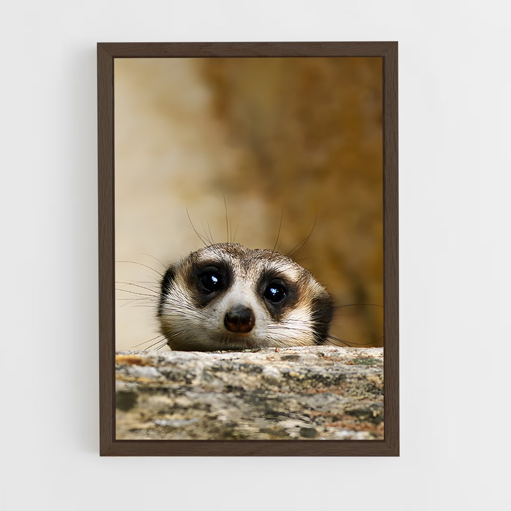 ap-meerkat-9 cadre Bois foncé