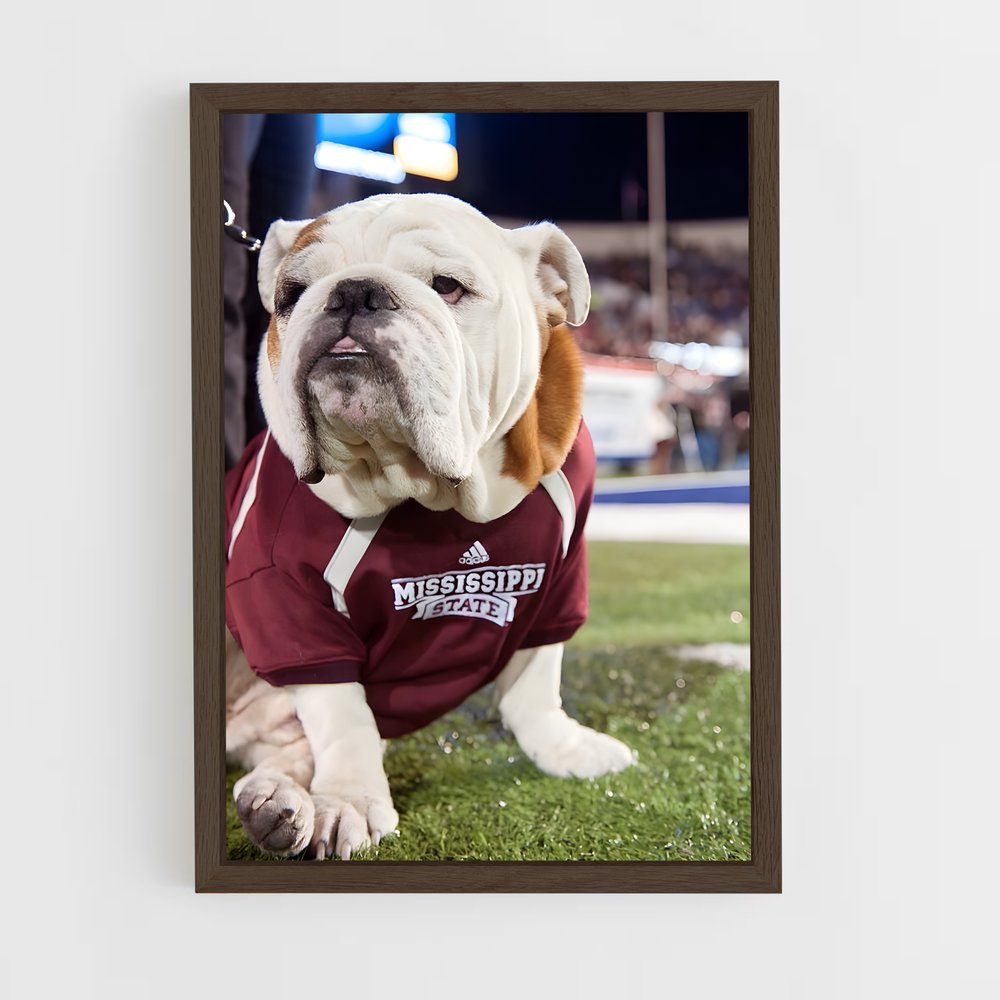 ap-mississippi state bulldogs-1 cadre Bois foncé
