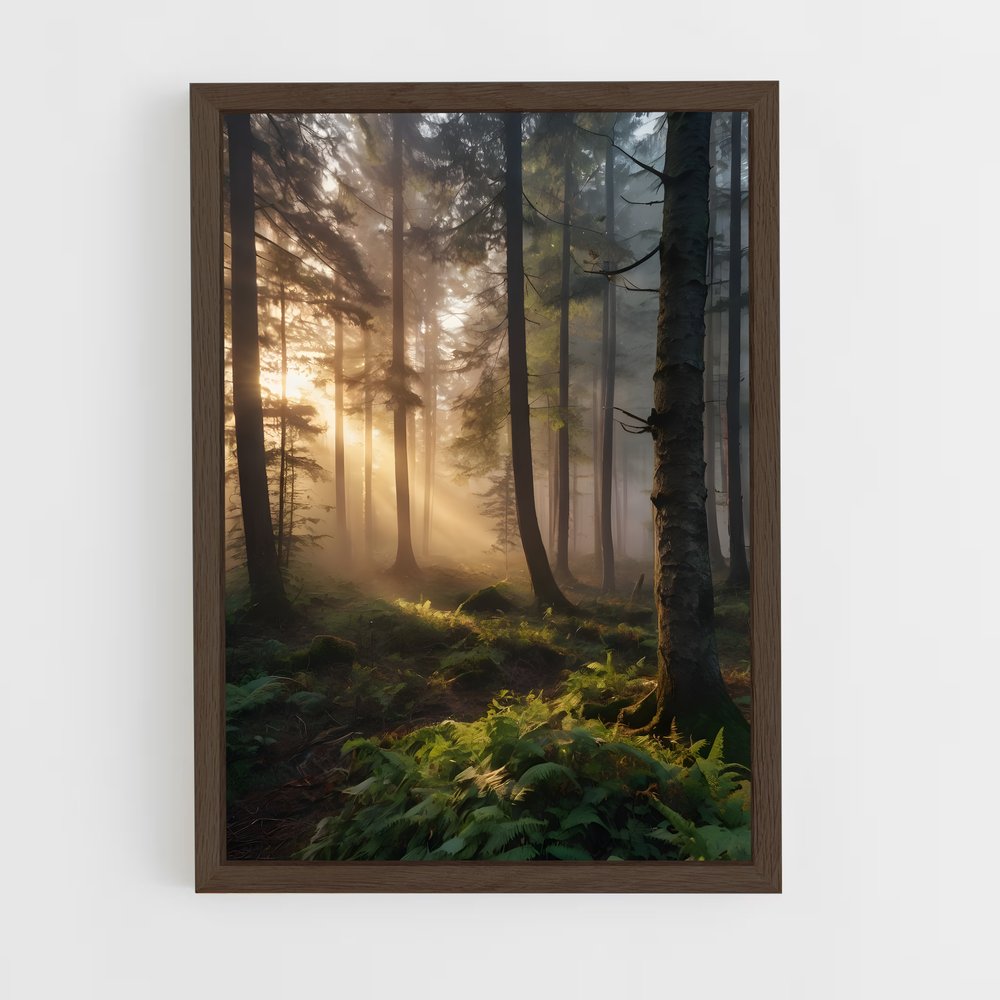 ap-mist-10 cadre Bois foncé