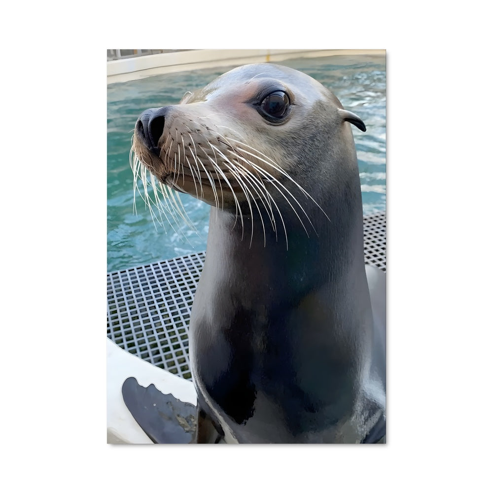 Poster Moheli marine park 86111