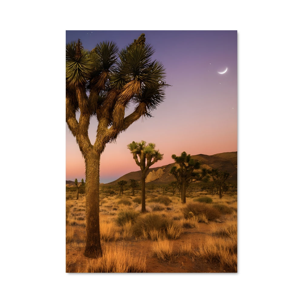 Poster Coucher de Joshua